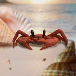 crabimage.png Crabe