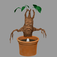 02.png Mandrake pant from Harry Potter