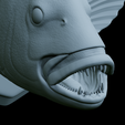 Dentex-head-trophy-47.png fish head trophy Common dentex / dentex dentex open mouth statue detailed texture for 3d printing