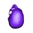Cranium.stl КТ черепа с полостью мозга