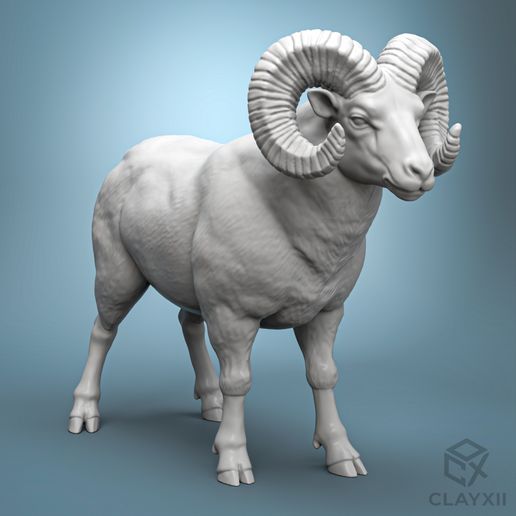 Bighorn Sheep 3D Print Model