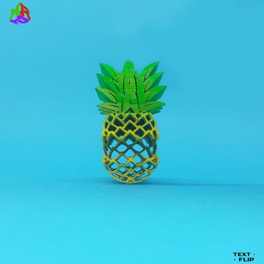 20230609_124957.jpg The Flips - Pineapple Death