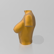 02.png 3D file Bust 06・3D printer design to download