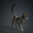 0000000.jpg CAT - DOWNLOAD CAT 3d model - animated for blender-fbx-unity-maya-unreal-c4d-3ds max - 3D printing CAT CAT - POKÉMON - FELINE - LION - TIGER