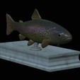 Trout-statue-9.png fish rainbow trout / Oncorhynchus mykiss statue detailed texture for 3d printing
