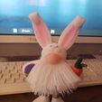 Easter Hairy Gnome with a bunny costume