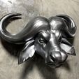 S__22847531.jpg African buffalo Head