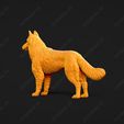 1731-Belgian_Shepherd_Dog_Tervueren_Pose_01.jpg Belgian Shepherd Dog Tervueren Dog 3D Print Model Pose 01