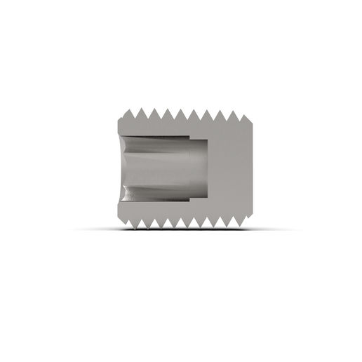 plug-internal-250-8-cut.18.png NPT Pipe Plug 1/4" with Hex Socket