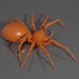 spider-modelo-3d.jpg Realistic spider