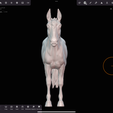 IMG_5097.png Mule,warmblood, and Roman nose horses