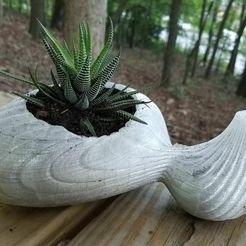 duo_planter.jpg Free 3D file Duo Planter・3D printable model to download