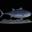 Bluefin-tuna-9.png Atlantic bluefin tuna / Thunnus thynnus / Tuňák obecný  fish underwater statue detailed texture for 3d printing