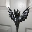 IMG_7822.jpg Heraldic Dragon(Amphiptere) Wall Hook