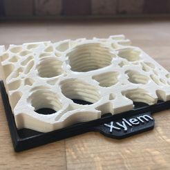 xylem_printed_1.JPG Archivo 3D gratis Modelo de estructura del xilema de la planta con bastidor・Modelo para descargar y imprimir en 3D