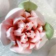 23.jpg 10+ Cupcake & Marshmallow Nozzle Tulip Nozzle Tulip set/pack