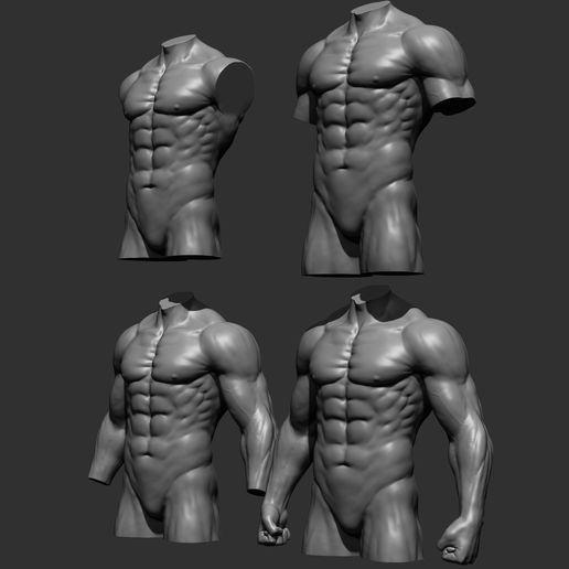 fewqa.jpg Archivo 3D 4 Torsos masculinos・Modelo para descargar e imprimir en 3D, Daniartist