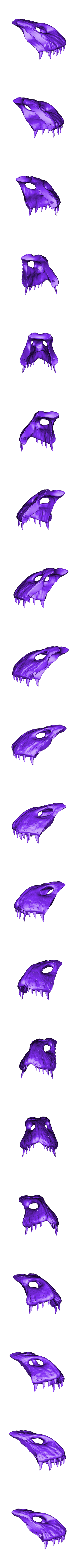 Skull Part 1.obj Download OBJ file Deinonychus Skull • 3D print design, arric