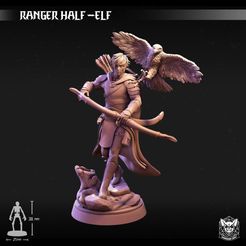 RANGER ABLE -ELF = 3 aa ~m me 2nn 4 Fichier STL Ranger Half-Elf・Plan imprimable en 3D à télécharger