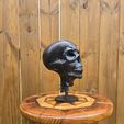 Mummy-Head-Display-3.jpg Mummy Head Display