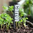 PhotoRoom_20240406_014532.jpeg 3D Printable Carrot Plant Tag – Multi-Color & STL for Vegetable Gardens