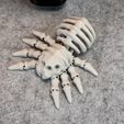 IMG_6837.jpg Flexi Skeleton Spider V2