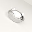 cat-ring-16.jpg Cat ring