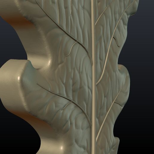 Oak_Leaf-07.jpg Oak Leaf