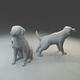 3.png Low polygon labrador 3D print model  in three poses