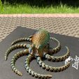 Pulpo 2.0