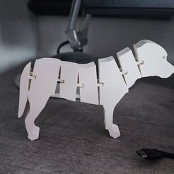 510e269a-0aa4-4e82-8100-ba3644695f59.jpg 3D-Datei Flexi Dog (Großer Schweizer Sennenhund) kostenlos・3D-druckbares Modell zum herunterladen