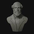 12.jpg General Robert E Lee bust sculpture 3D print model