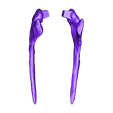 Cervical_ribs_06.obj OBJ file Life size Citipati (Oviraptor) skull and cervical vertebrae・3D printing template to download, Inhuman_species