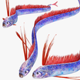 portada-gr3455.png DOWNLOAD Hairtail DOWNLOAD FISH DINOSAUR DINOSAUR Hairtail FISH 3D MODEL ANIMATED - BLENDER - 3DS MAX - CINEMA 4D - FBX - MAYA - UNITY - UNREAL - OBJ -  Hairtail FISH DINOSAUR