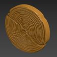 SE6.jpg Wood Slice Stump Cut trunk Tree cross-section