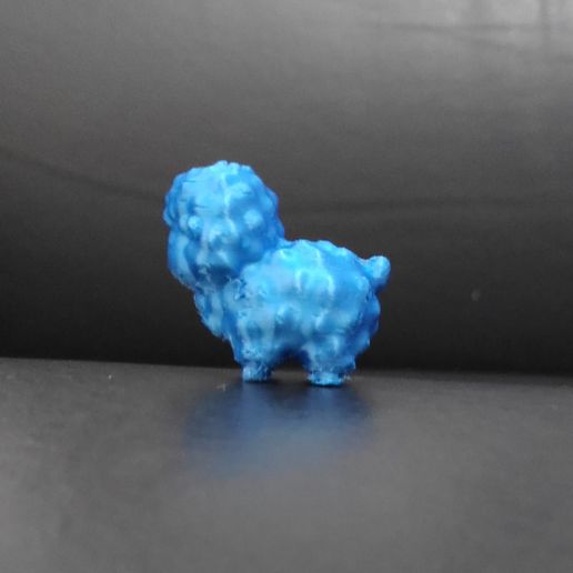 CuteLittleSheep5.jpg Cute Little Sheep