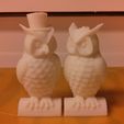 Owl_Pair_bigprint.jpg His and Her Owls (MakerWare-friendly!)