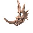2.jpg Styracosaurus ovatus skull