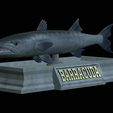 Barracuda-mouth-statue-5.png fish great barracuda / Sphyraena barracuda open mouth statue detailed texture for 3d printing