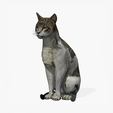 portada-Ct.png CAT - DOWNLOAD CAT 3d model - animated for blender-fbx-unity-maya-unreal-c4d-3ds max - 3D printing CAT CAT - POKÉMON - FELINE - LION - TIGER