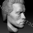 ArnoldSchwarzenegger_Head3dScan5.jpg 3D-сканированное изображение головы Арнольда Шварценеггера Lifecast Head (Терминатор, T800, Хищник, Конан-варвар, Коммандос, Полный отзыв, Правдивая ложь, Бегущий человек)