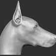 8.jpg Dobermann head for 3D printing