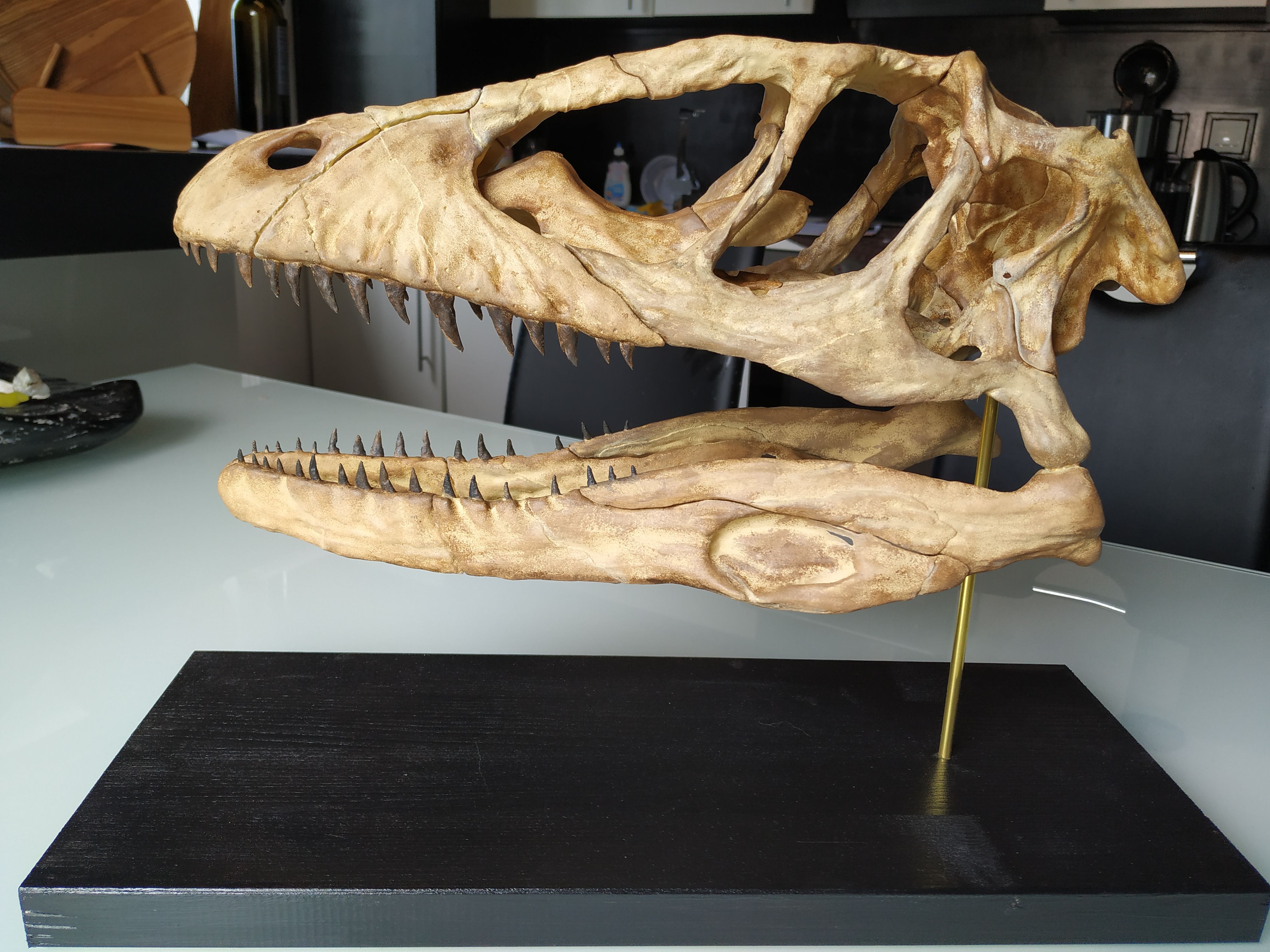 IMG_20190608_143819.jpg Download OBJ file Deinonychus Skull • 3D print design, arric