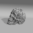 9.png Ornamental Sugar skull
