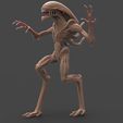 Alien_Final_Pose_1.382.jpg Alien Pose