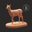 doe_1_logo.png Deer Miniatures Set