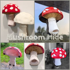 Adobe_Express_20230913_1623430_1.png Fichier STL Enceinte pour champignon araignée sauteuse **VERSION COMMERCIALE**・Objet imprimable en 3D à télécharger