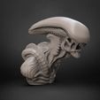 abust.1463.jpg Alien Bust