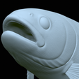 Rainbow-trout-trophy-open-mouth-1-50.png fish rainbow trout / Oncorhynchus mykiss trophy statue detailed texture for 3d printing