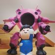 KakaoTalk_20210821_230723502.jpg Overwatch D.Va et mech